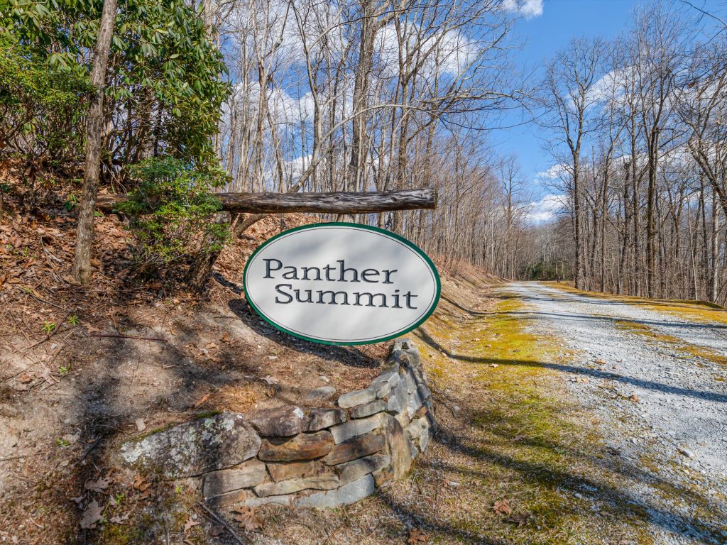 01-PANTHER SUMMIT (LOTS 1&2)-1