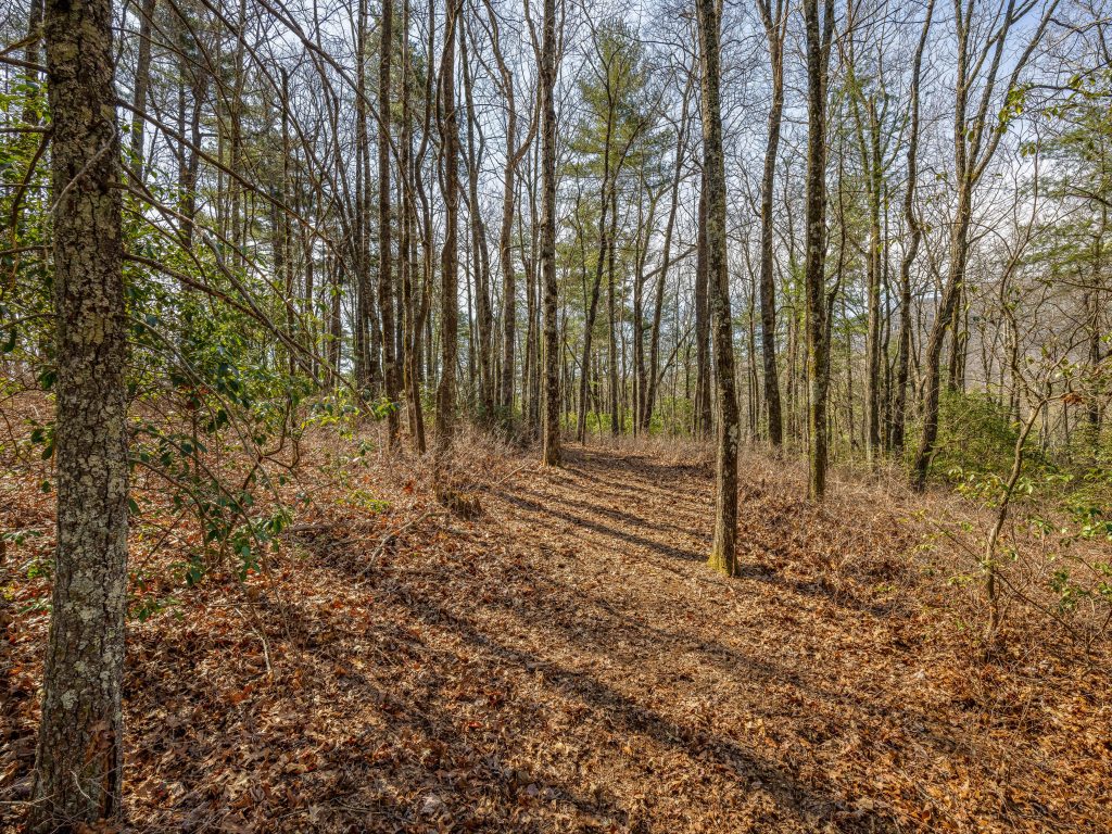 05-Lot 1R, Panther Ridge Road-5