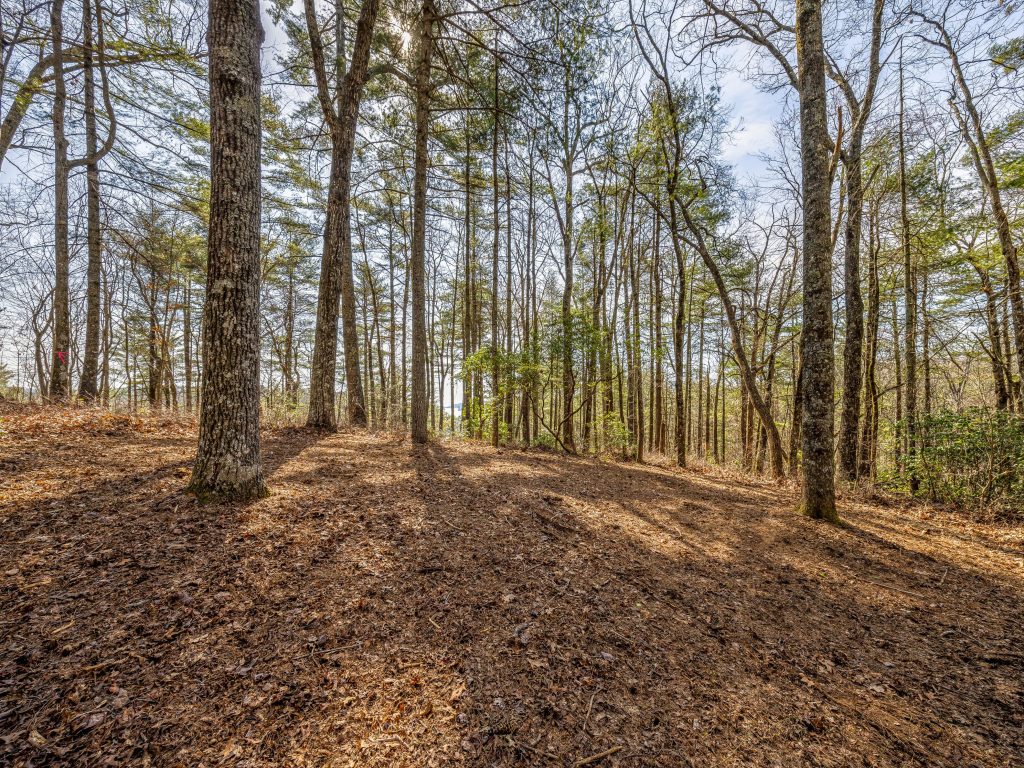 06-Lot 1R, Panther Ridge Road-6