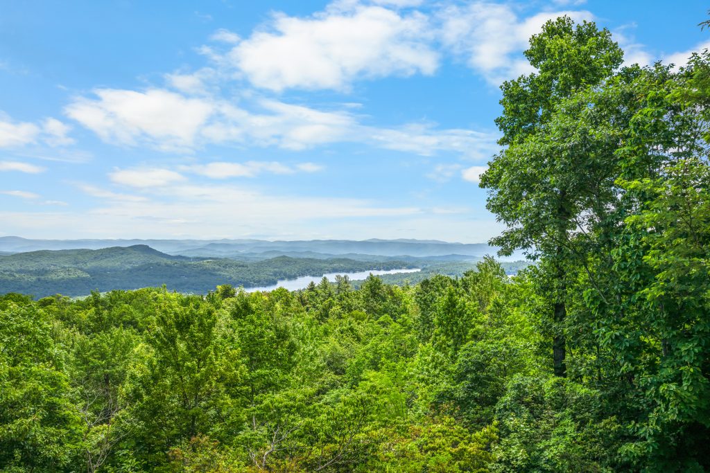 100 Meadow Ridge Drive-062326-061