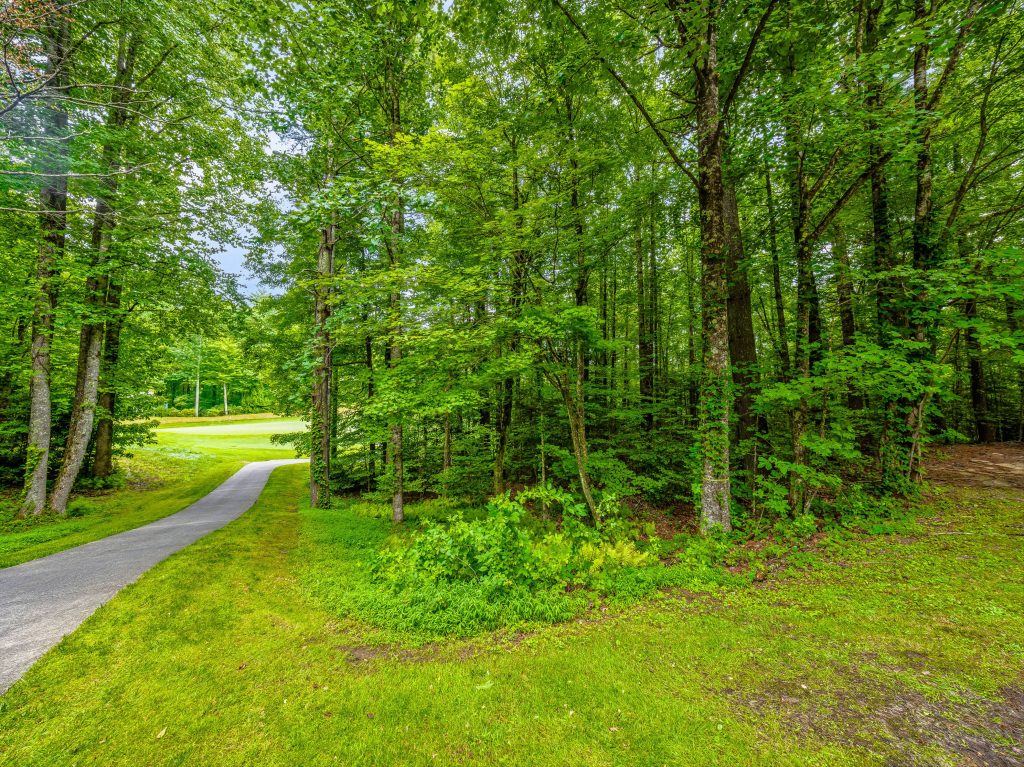 17-N17 Mills Creek Trace-17