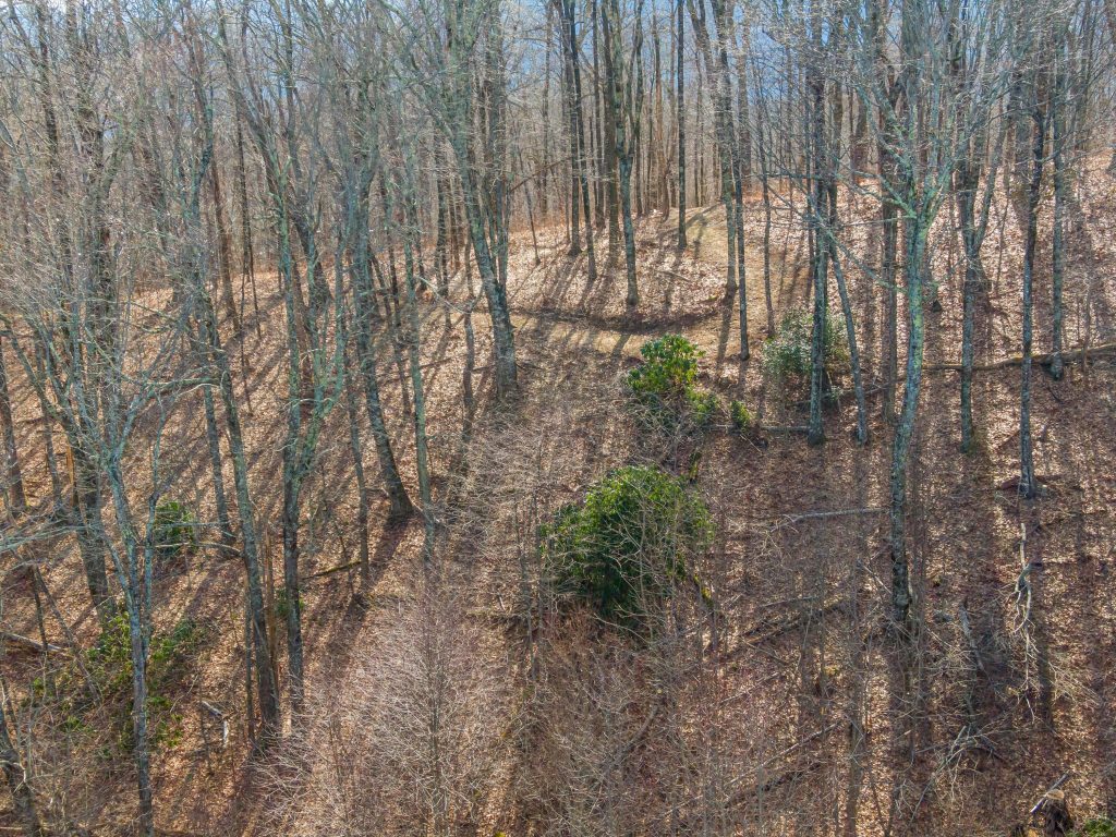 18-PANTHER SUMMIT (LOTS 1&2)-18