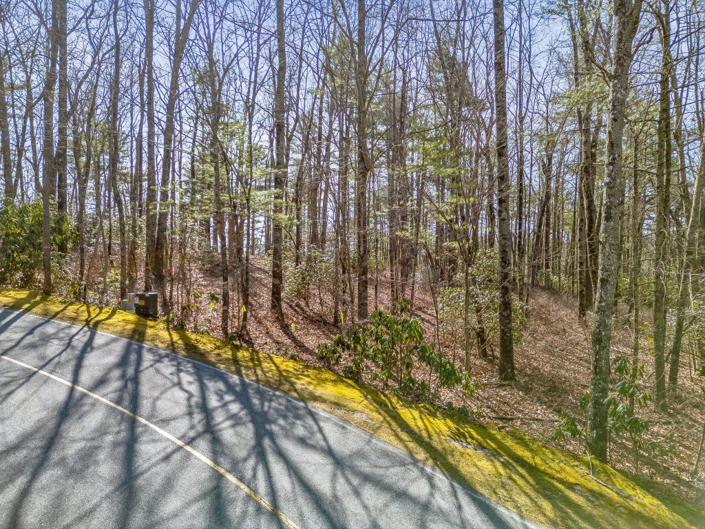 20-Lot 1R, Panther Ridge Road-20