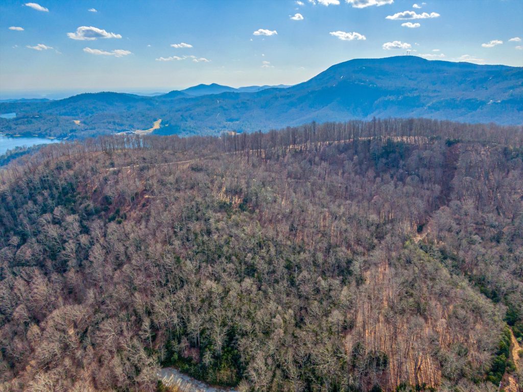 24-PANTHER SUMMIT (LOTS 1&2)-24