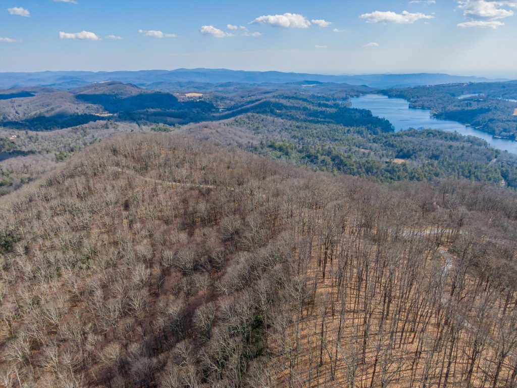25-PANTHER SUMMIT (LOTS 1&2)-25