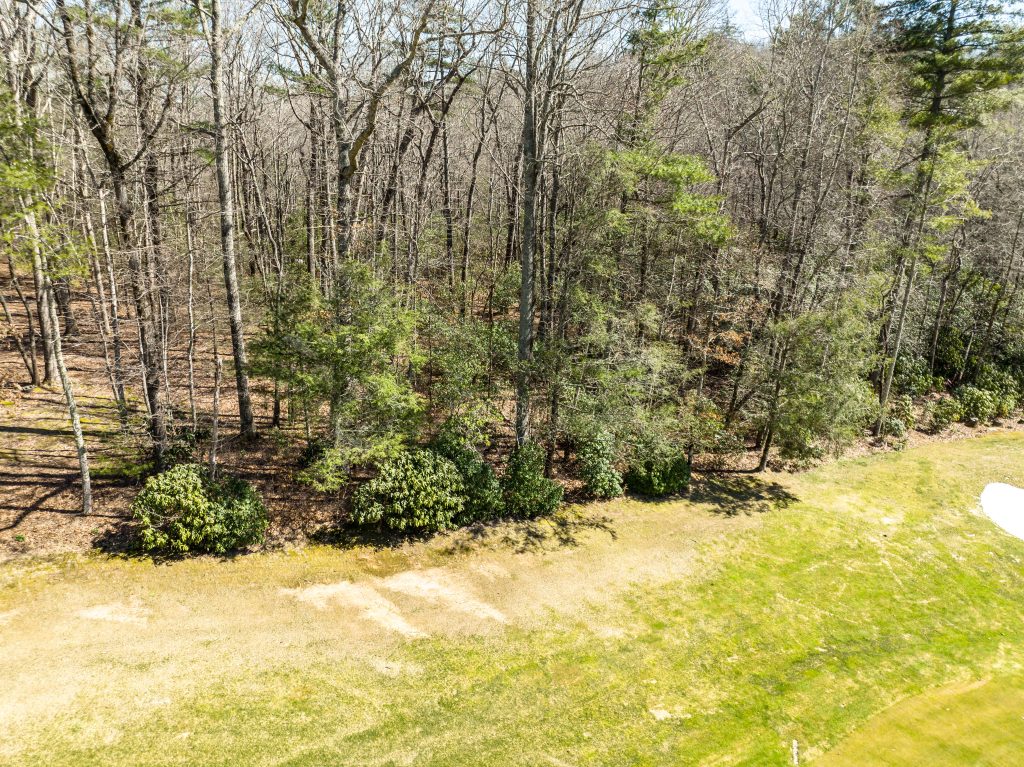 DJI_0684