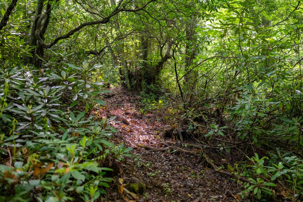 River Camp-052826-09
