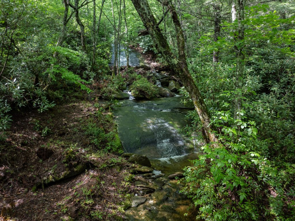 River Camp-052826-15