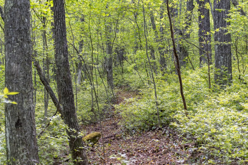 Saddle Camp-051026-05