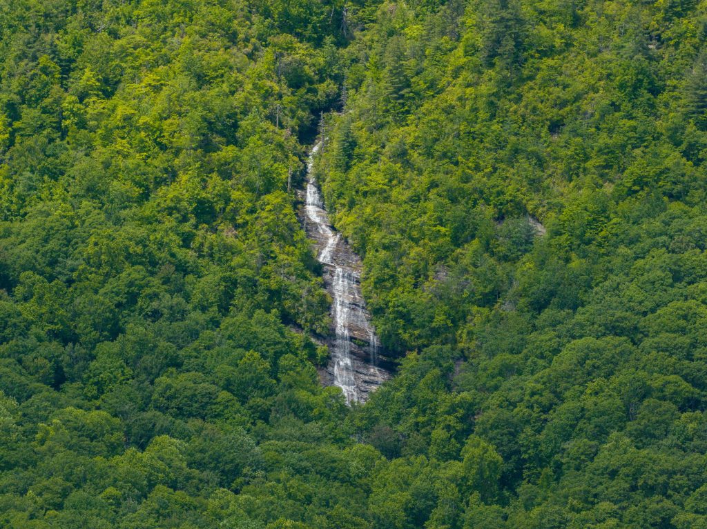 TRP 1-060126-10
